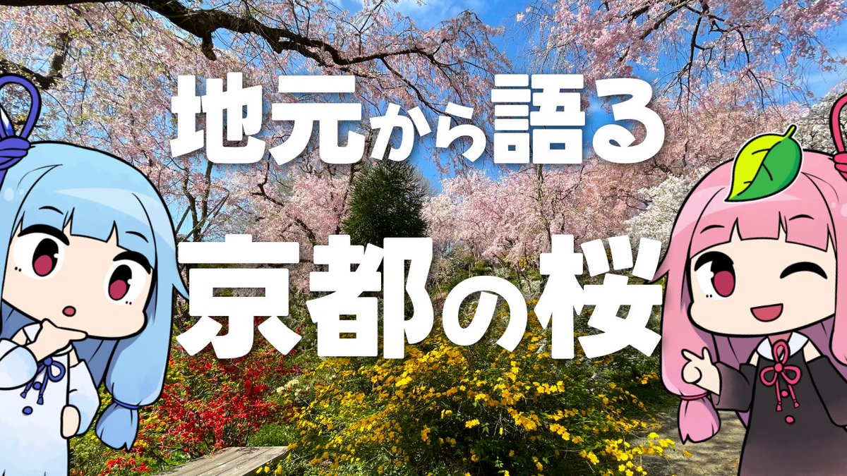 逃げドラ tweet media