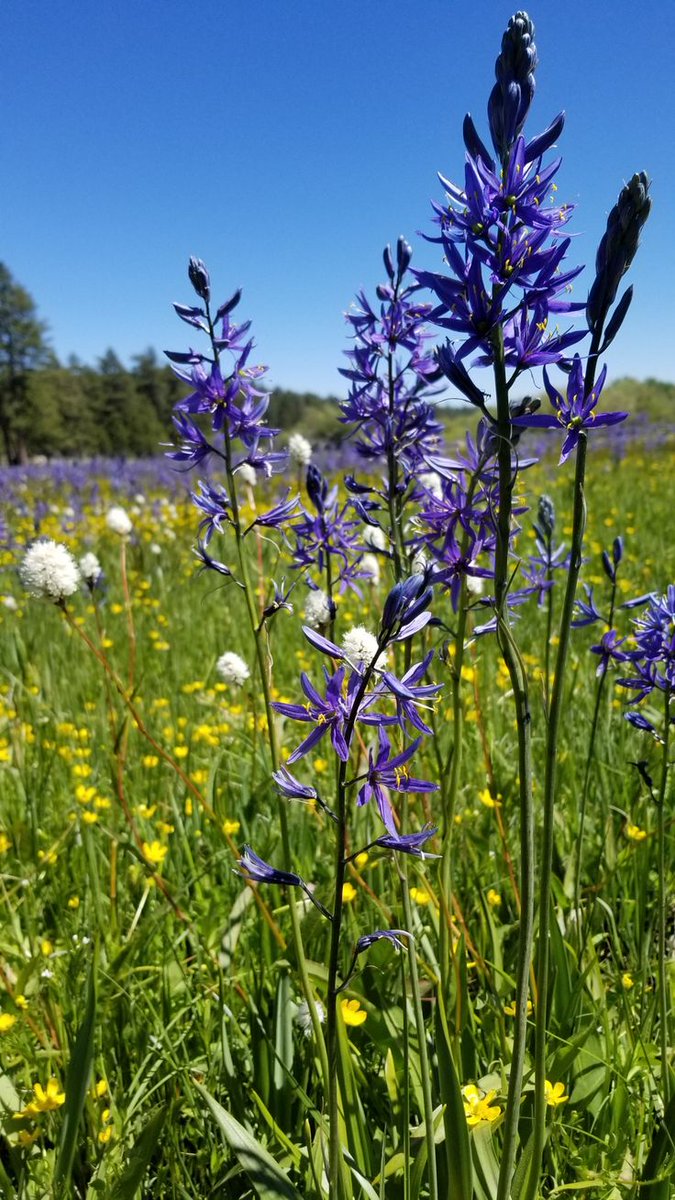 supernova8 tweet media