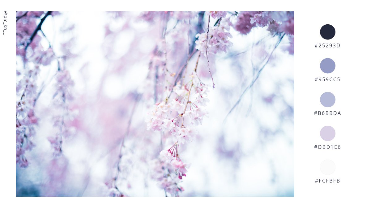 宵ノ入 _Yoi_ tweet media