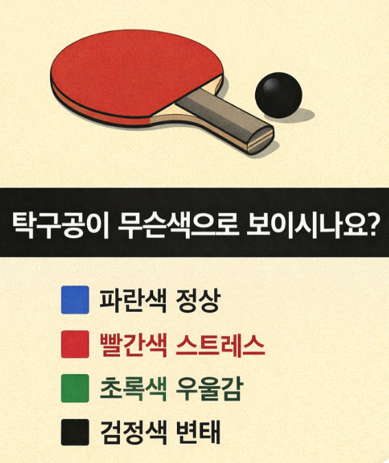 Liora Solveil tweet media