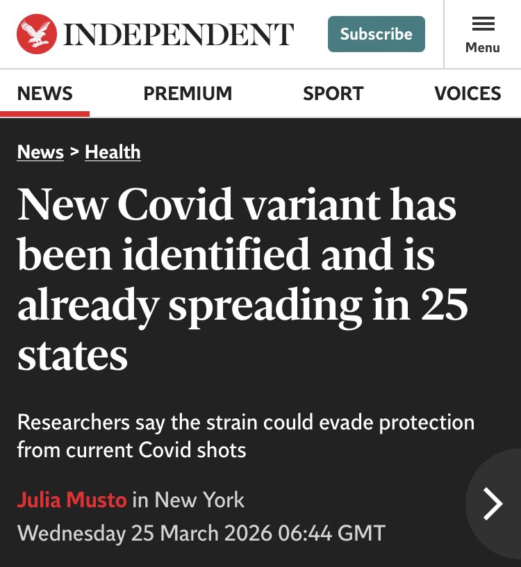 Bohemian Atmosphere tweet media