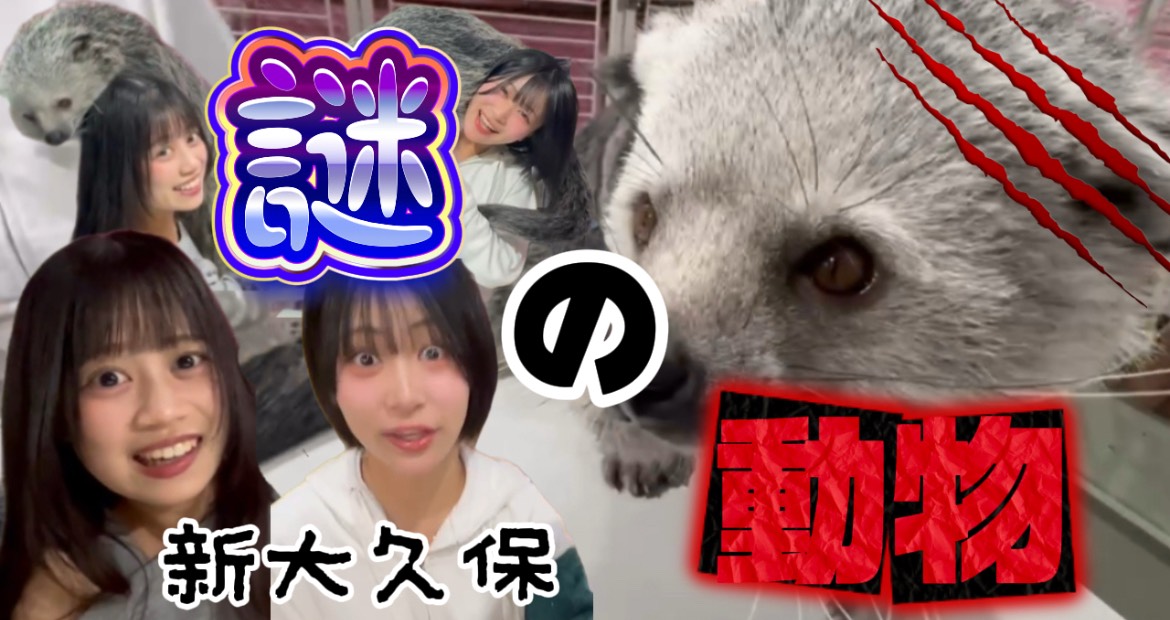 iTRiP(アイトリップ) official tweet media