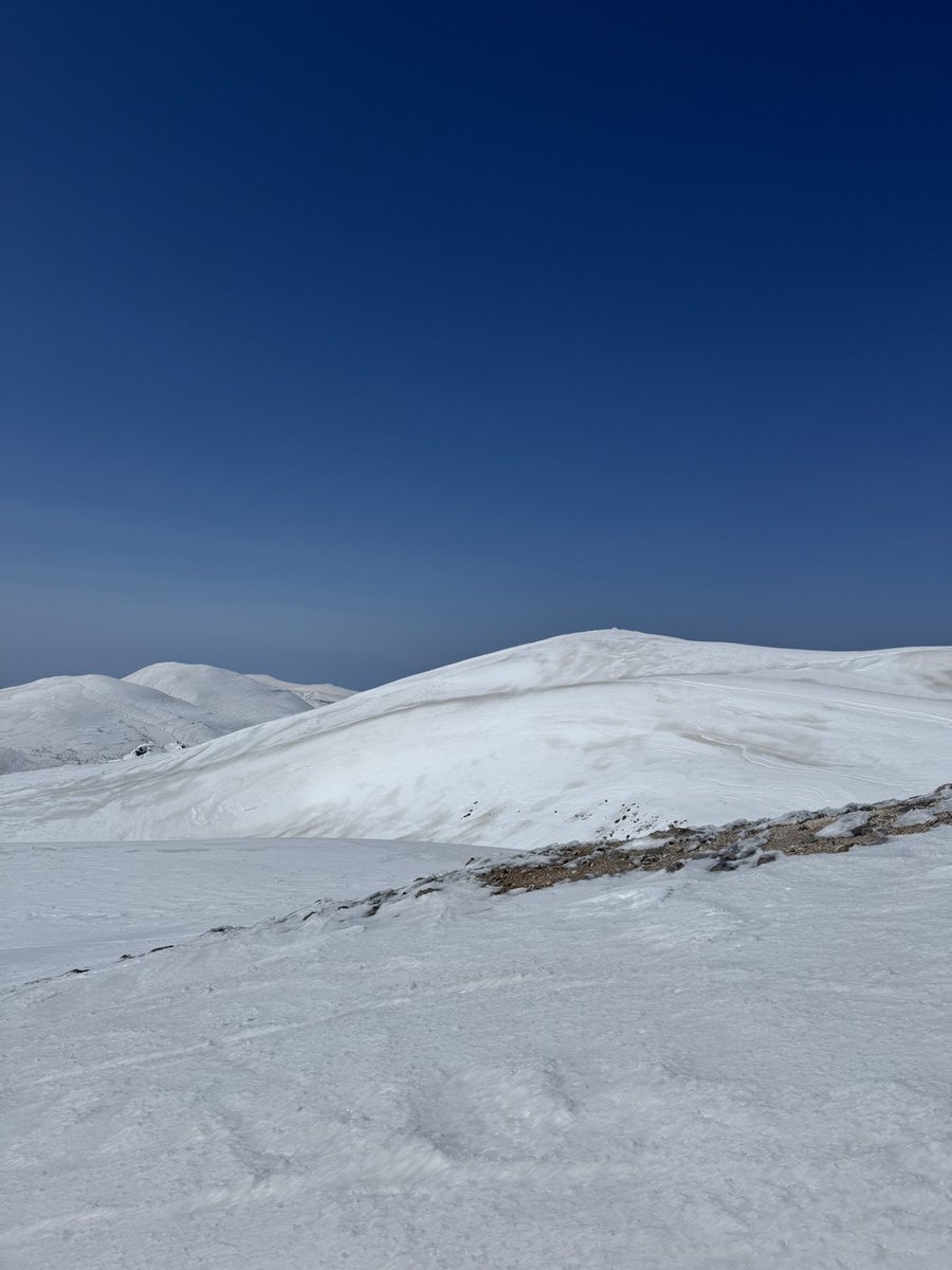 凡人わしや tweet media