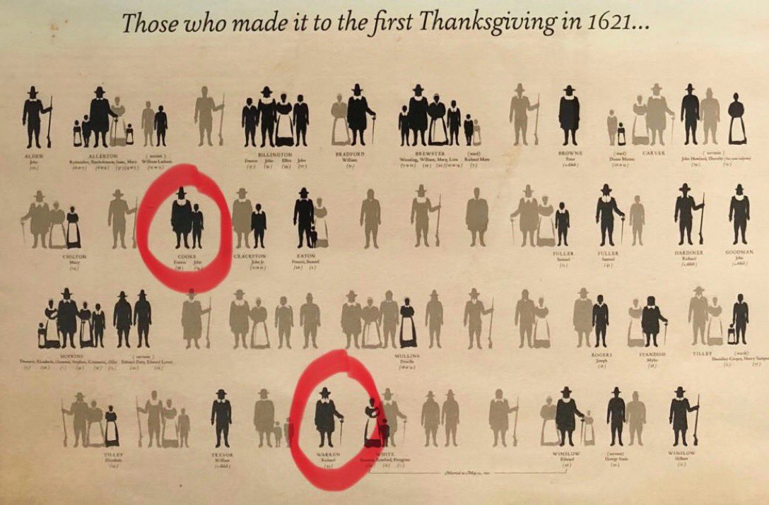 Fat Cat 🌐 tweet media