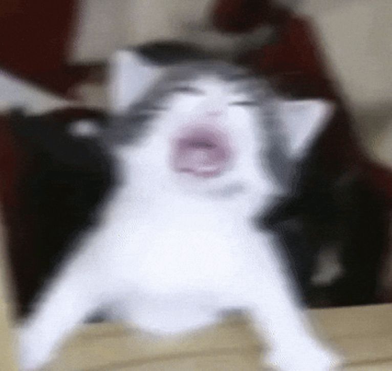 easy.fun tweet media