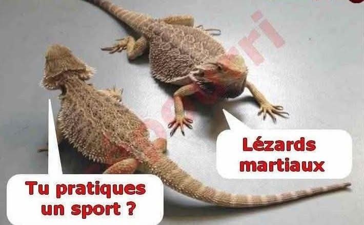 MDboys95 tweet media