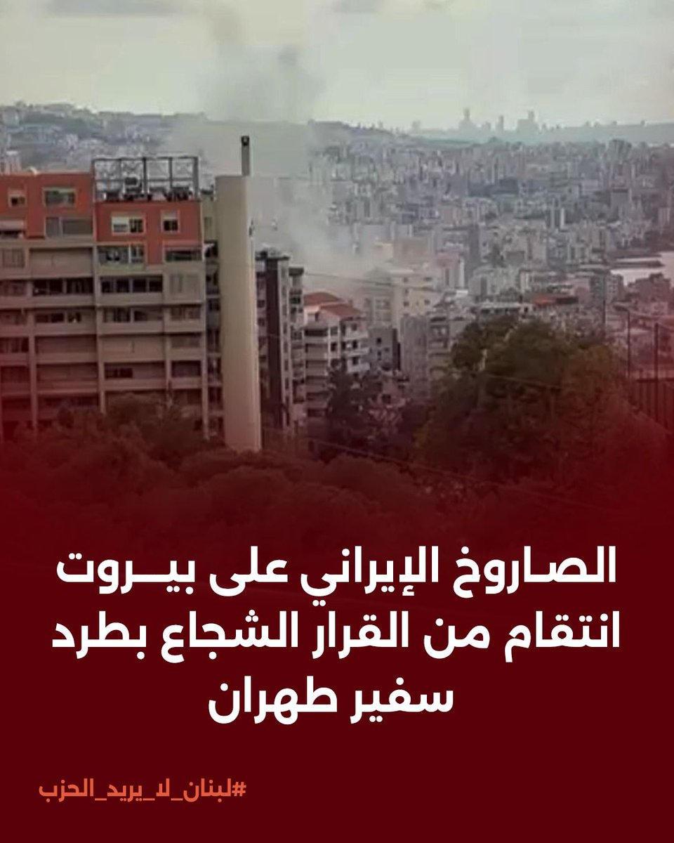 Majdoline | مريم مجدولين اللحام tweet media