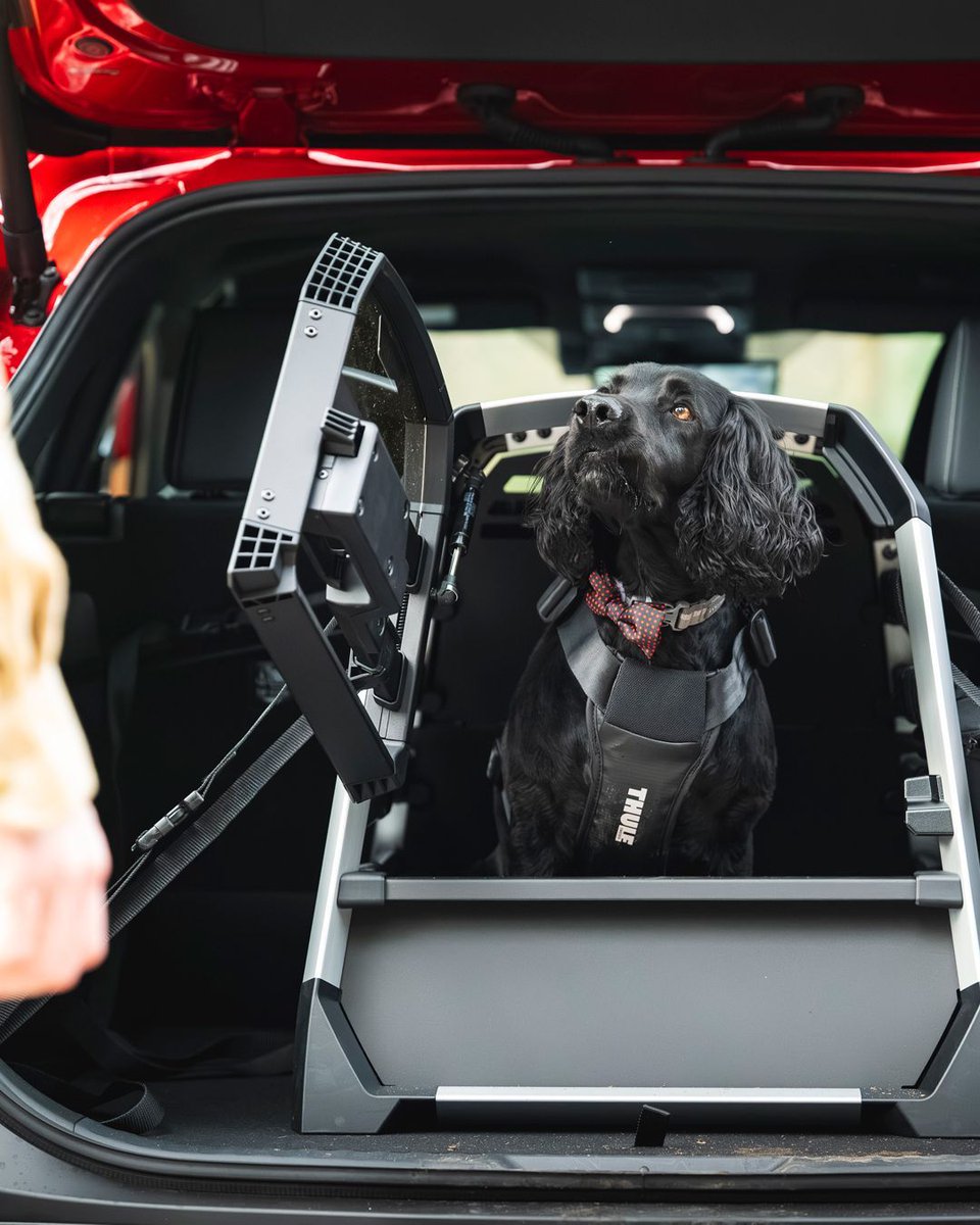 Currie Motors tweet media