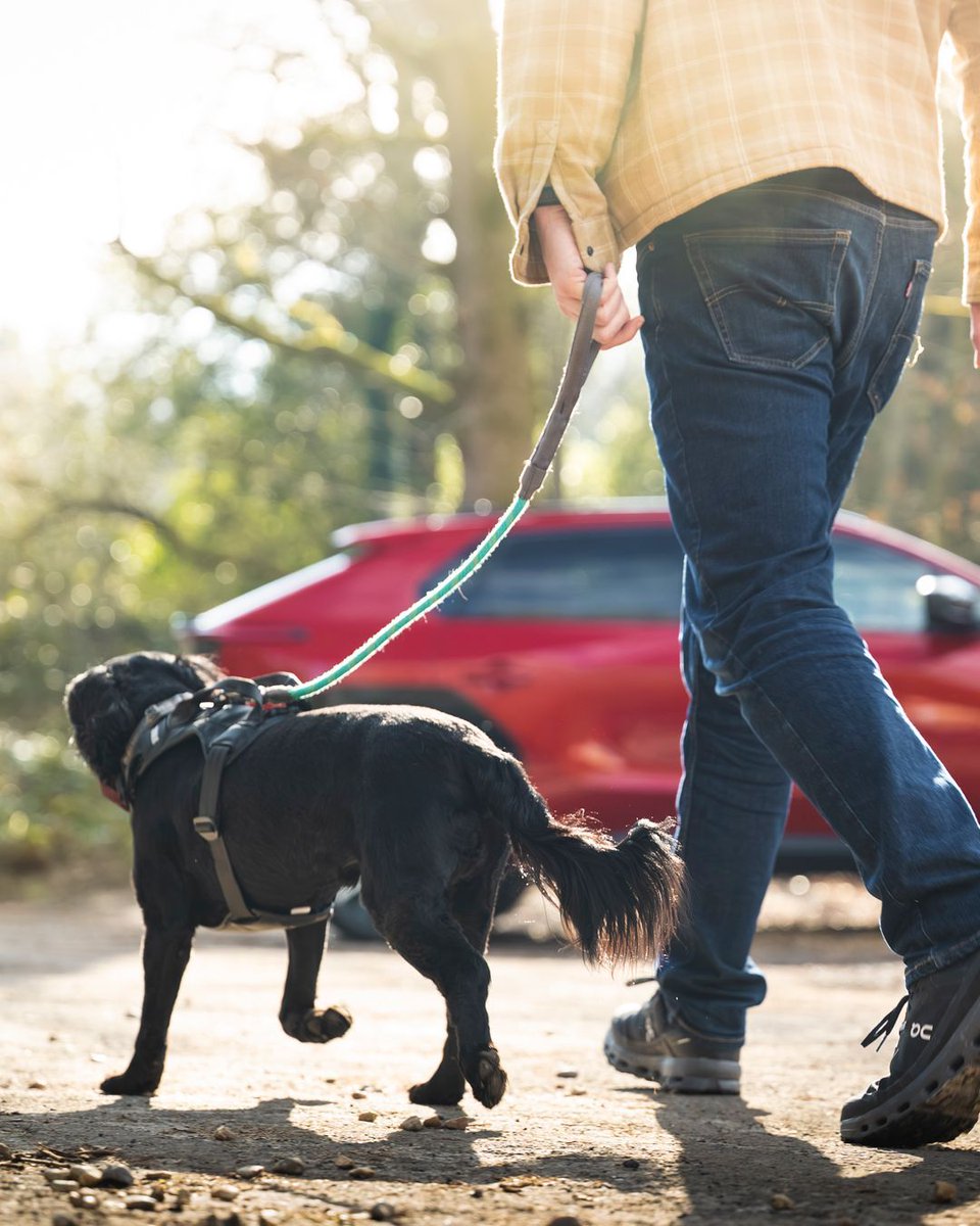 Currie Motors tweet media