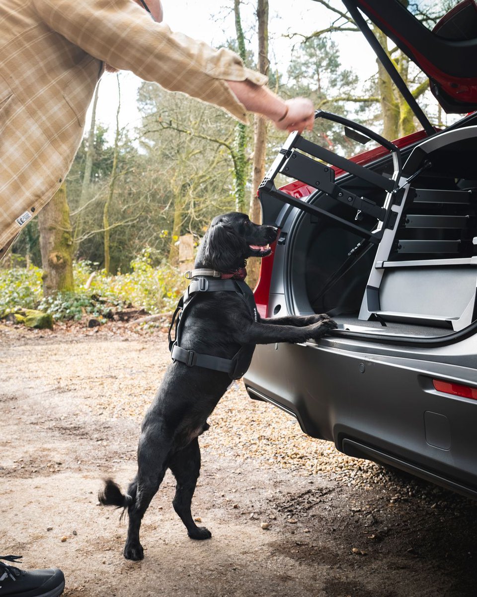 Currie Motors tweet media