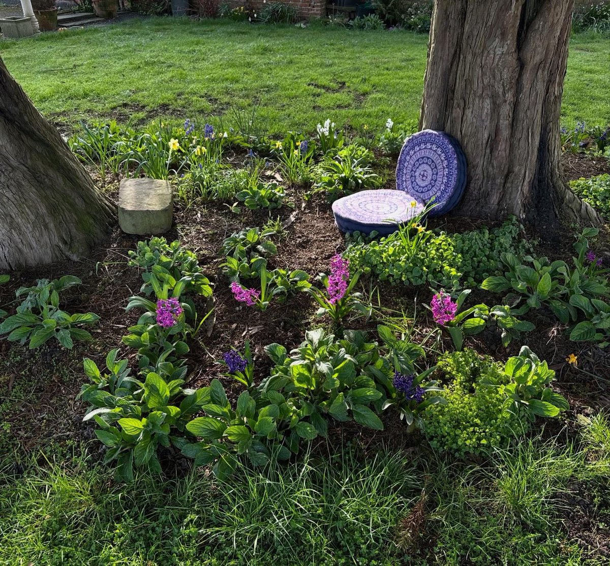 AJ Roberts tweet media