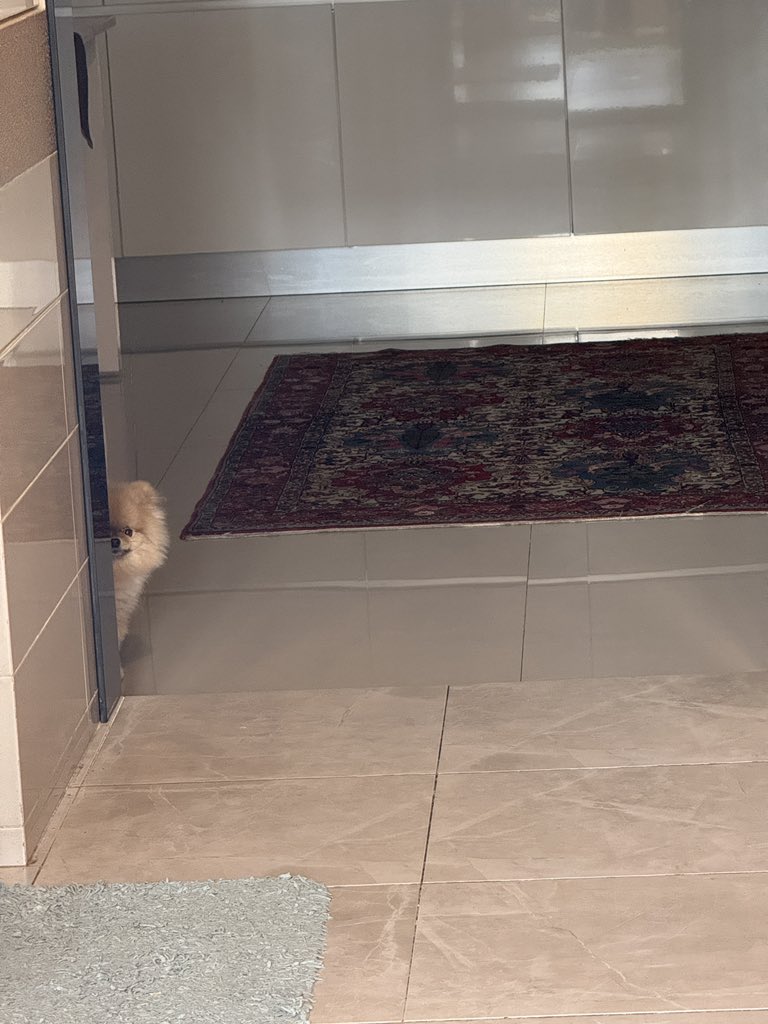 هاریسون tweet media