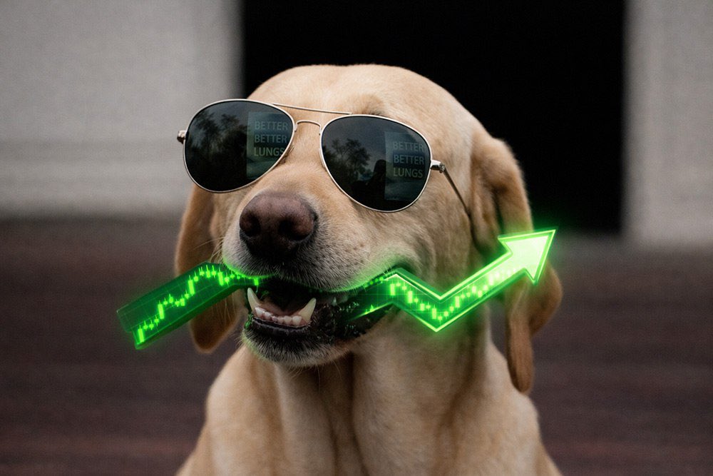 Saadu_Musa $DOG ARC tweet media