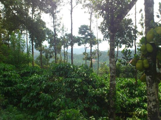 Manjulagowrichandra,MBA(Finance), tweet media