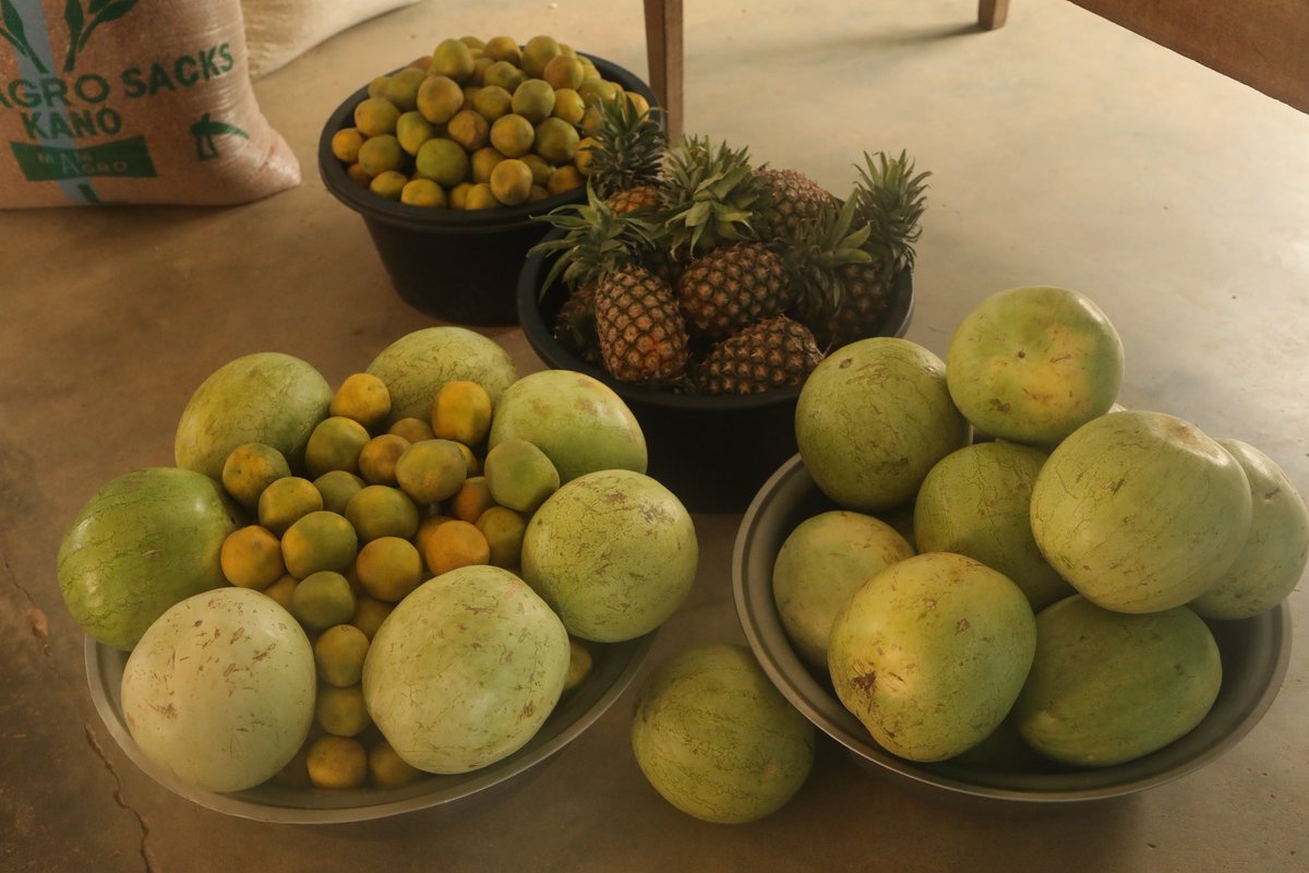 Poly Raiders Mint is LIVE!.tgn tweet media