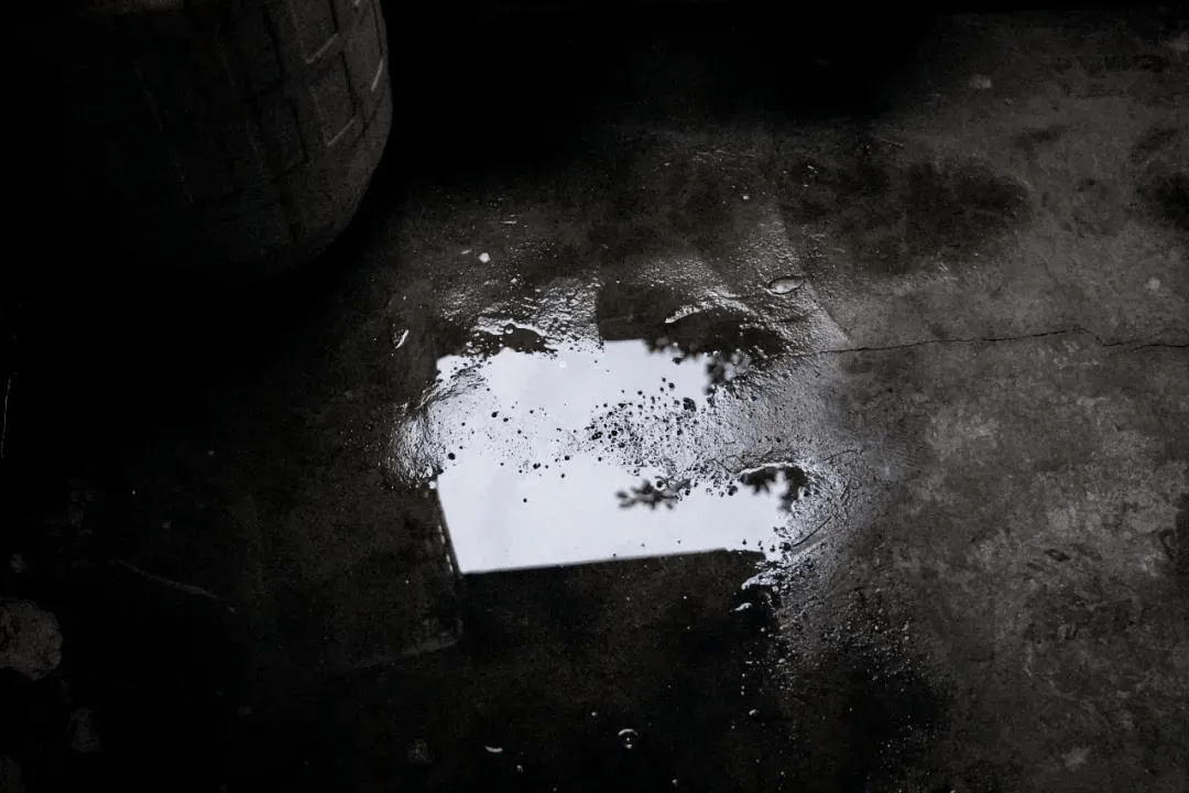 @shiningstar tweet media