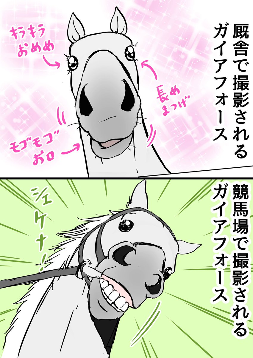 たいらんと tweet media