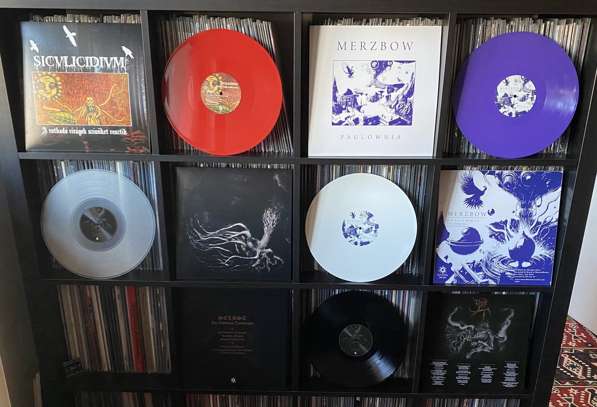 sunmoonrecords's tweet image. Beautiful new vinyl! @MerzbowOfficial // Siculicidium // Selbst
#merzbow #siculicidium #selbst 
#20yearsofsunandmoonrecords
#sunandmoonrecords
#buymorerecords
#vinyl @sunmoonrecords 

sunandmoonrecords.com/new-arrivals