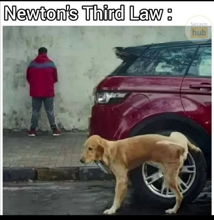 JUSTICE tweet media