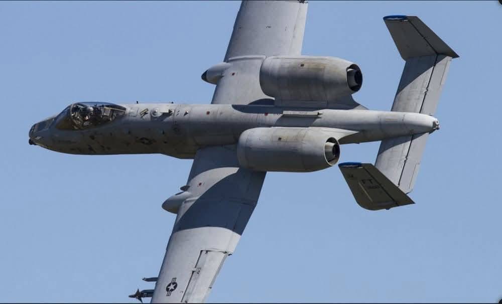 الدكتورة زينب الدليمي tweet media