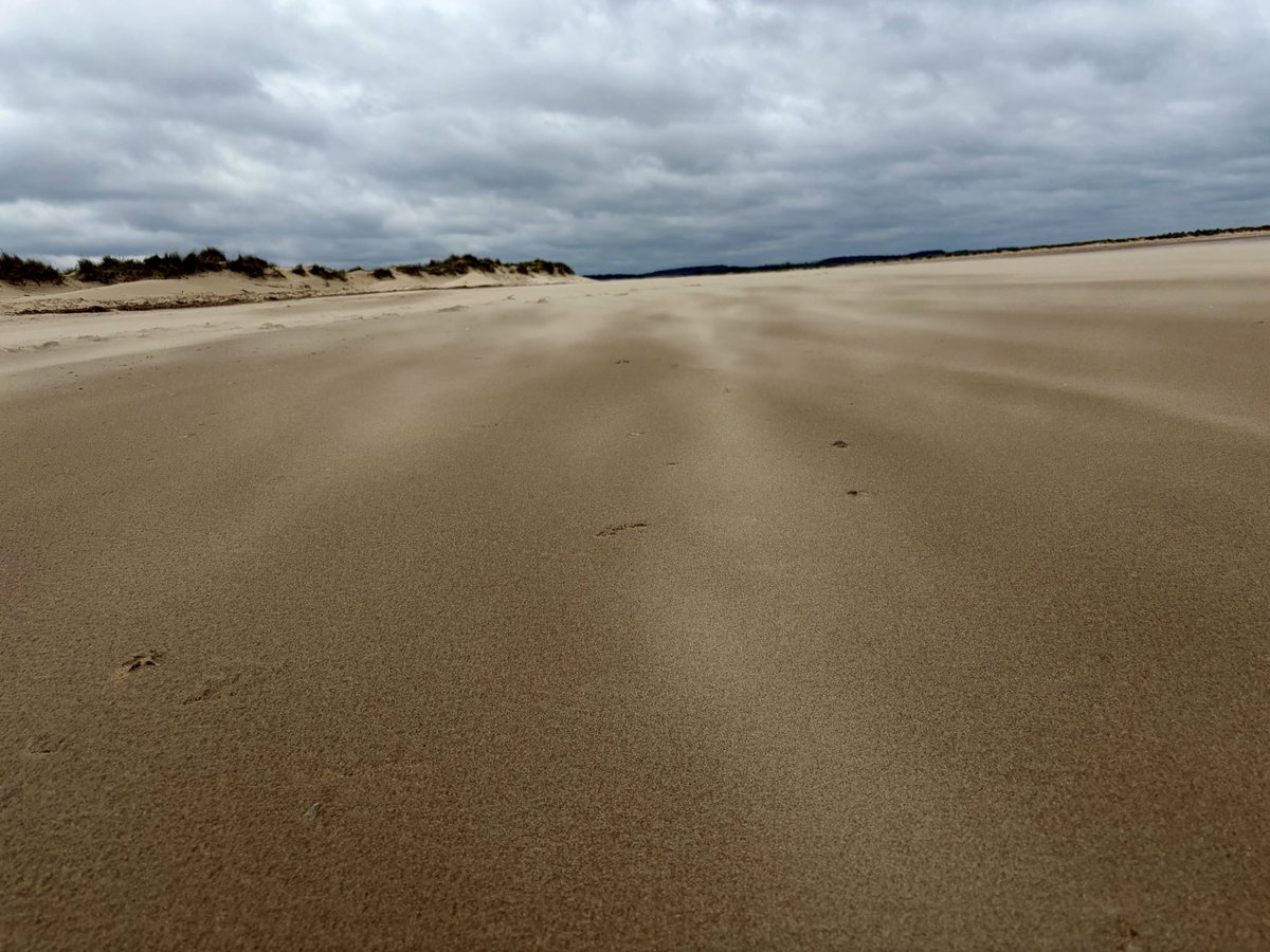 Sarah coxh tweet media