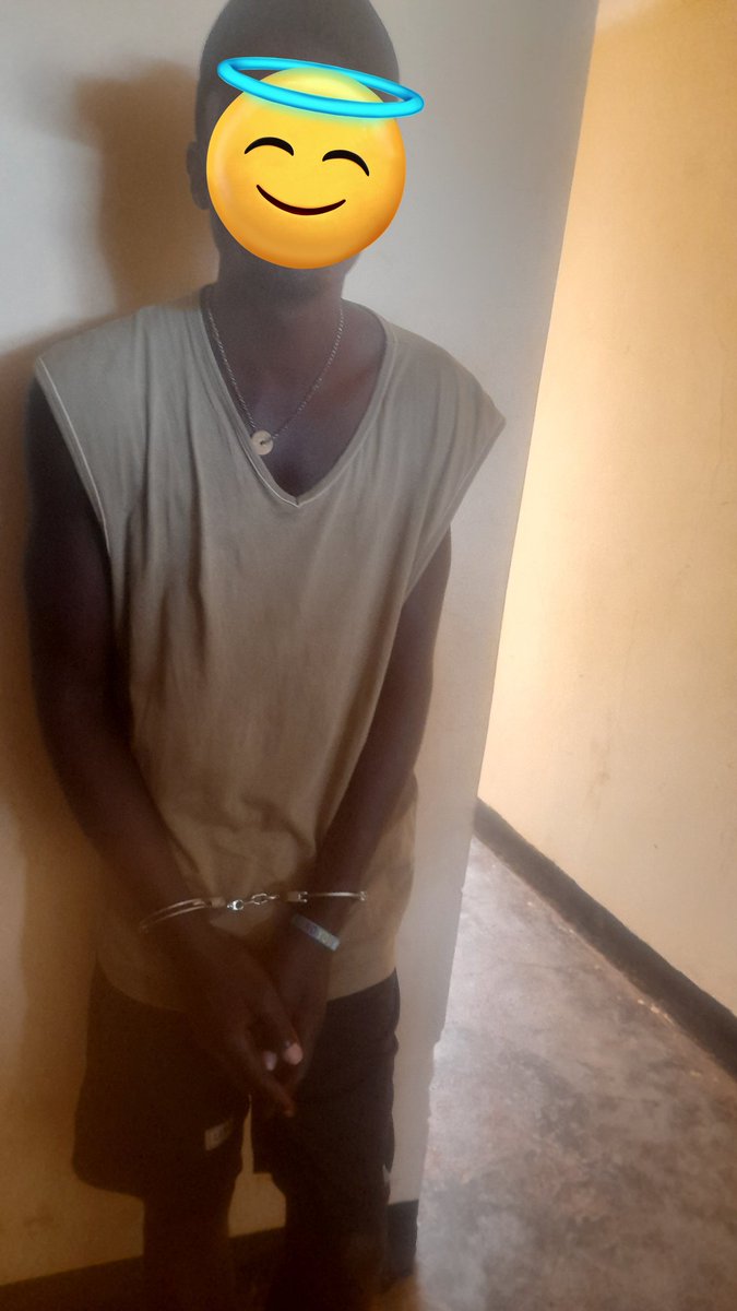 TIMRA🍟 tweet media