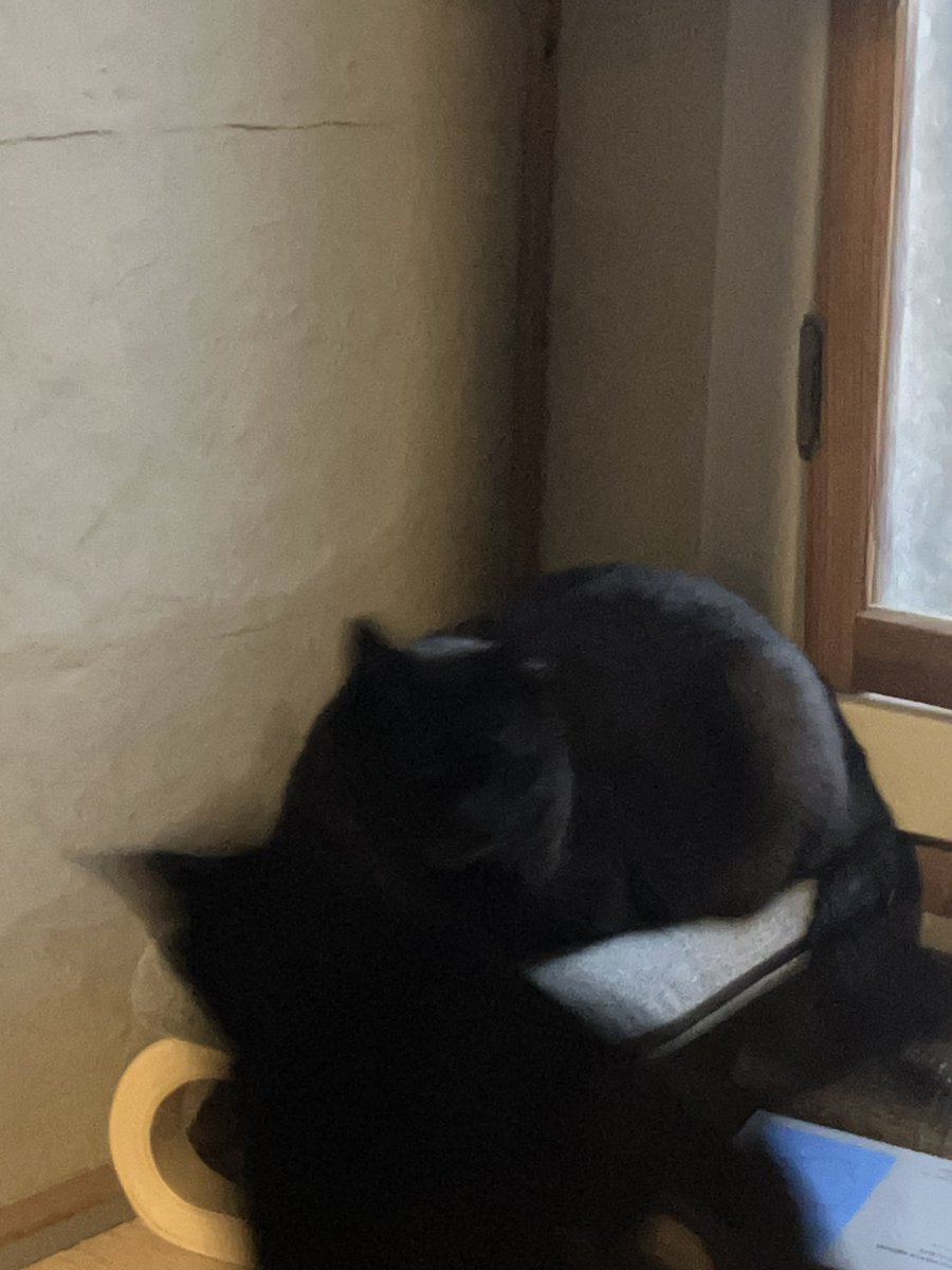 Hasu no hana tweet media