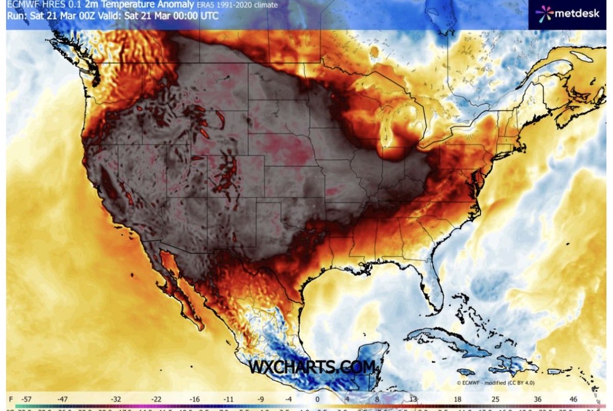 scratchstone tweet media