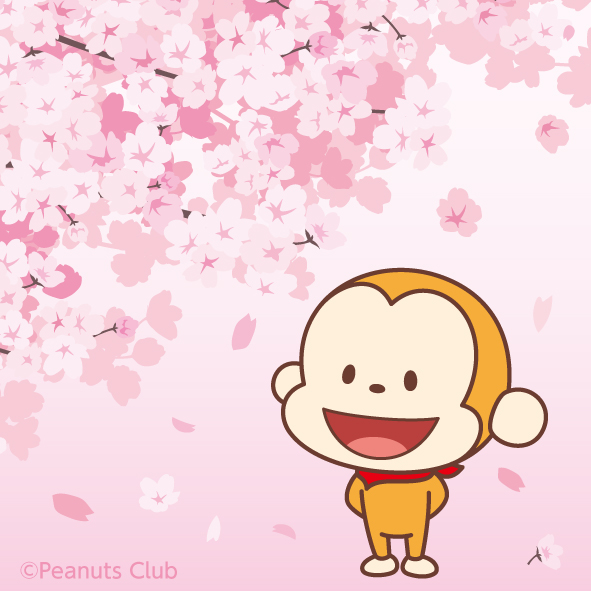 e-Sal【公式】イーサル tweet media