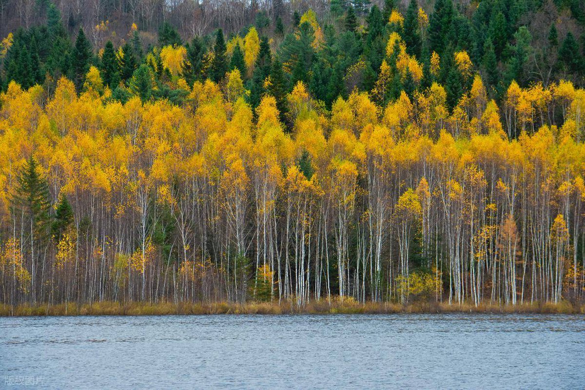 HEIDI LEZLIE MARTIN tweet media