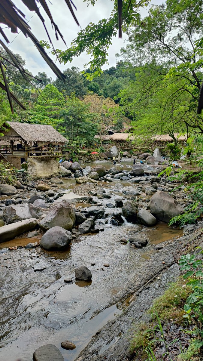 Diiy 🌐 tweet media