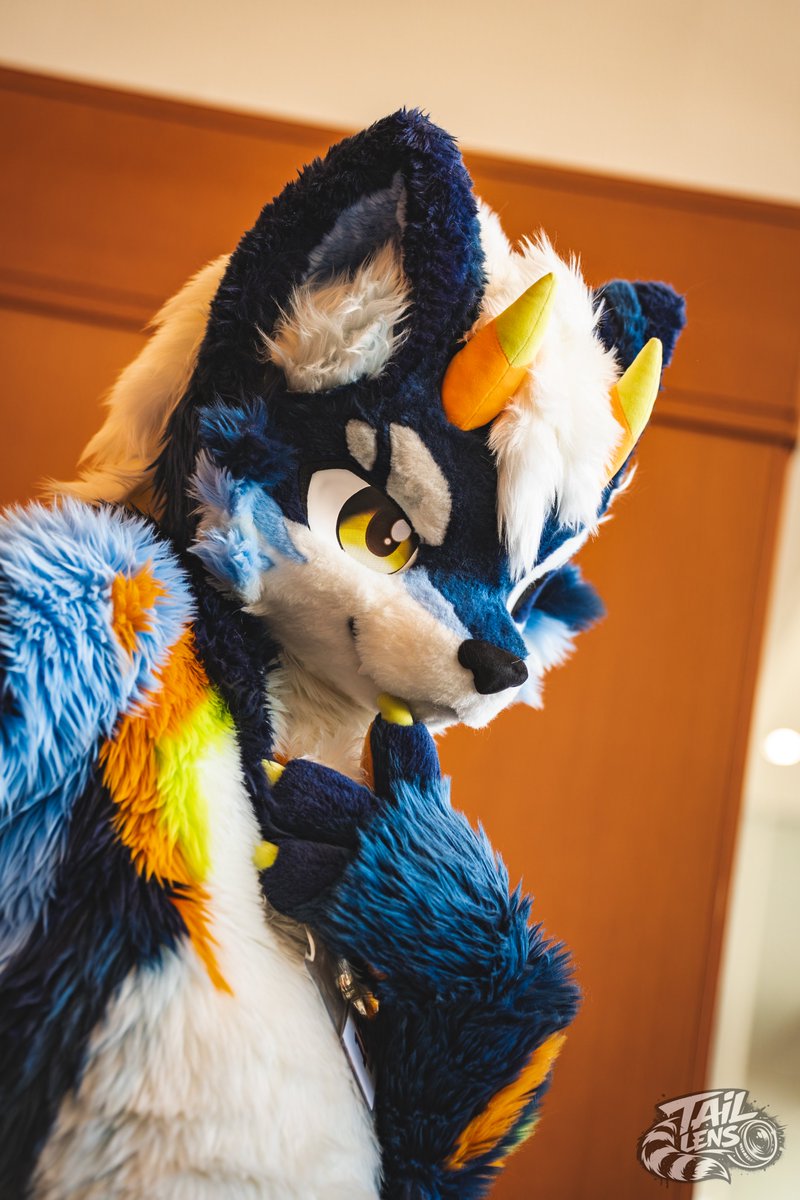 TailLens(テイルレンズ)🦝📸▶未定 tweet media