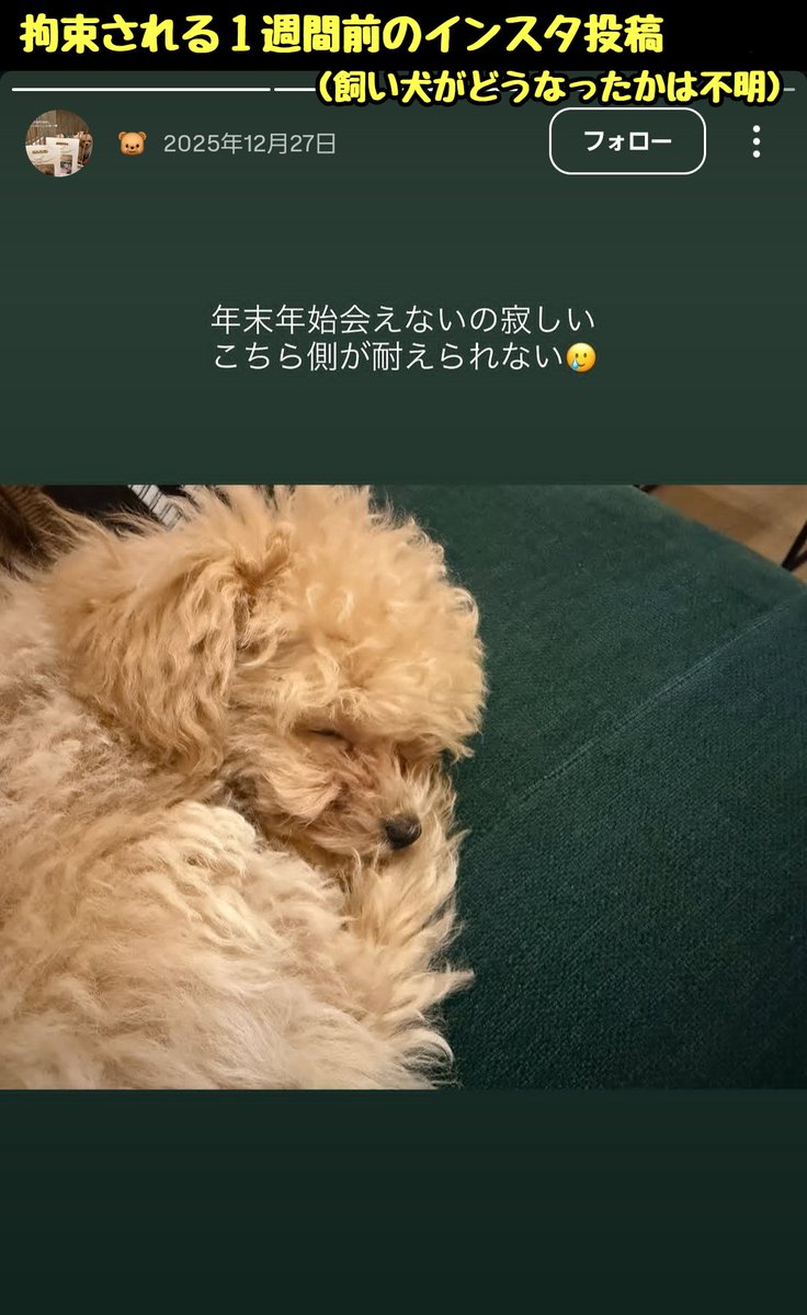 滝沢ガレソ tweet media