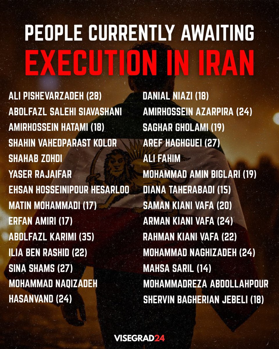 Visegrád 24 tweet media