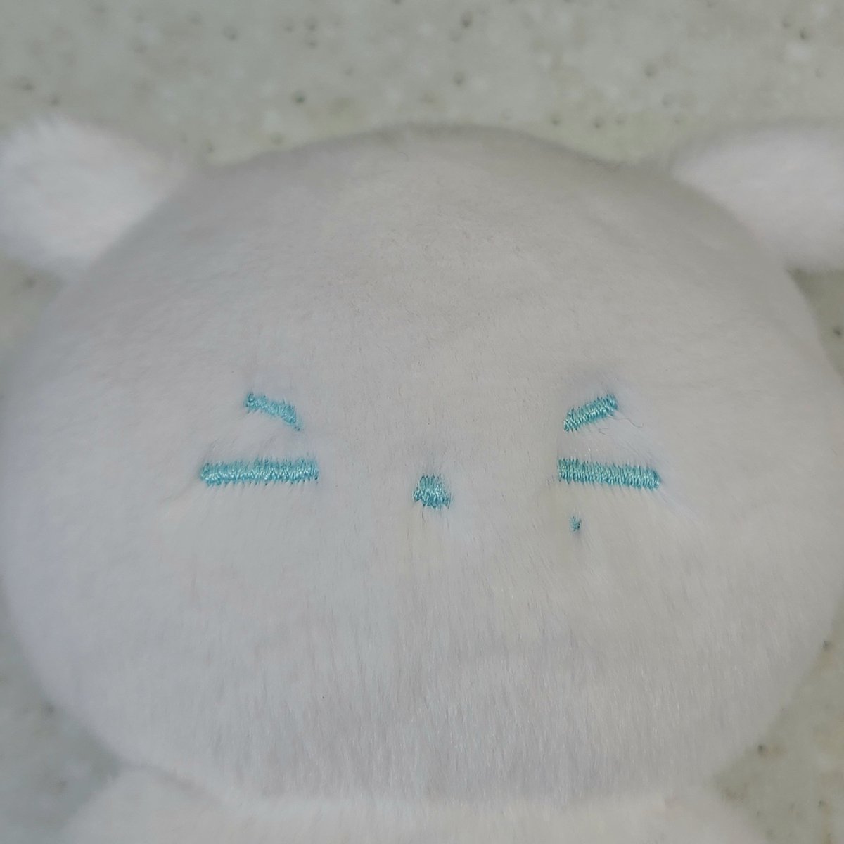 Slow🐢)마데콩🌸 tweet media