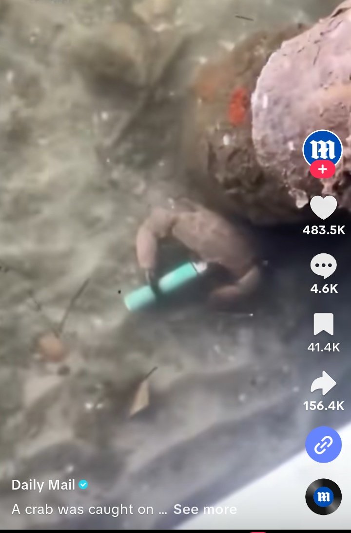 Web3Musk tweet media