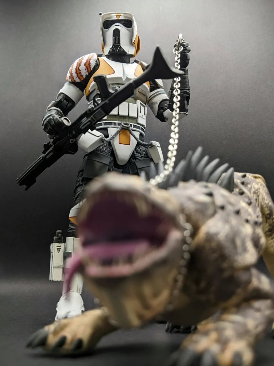 Jedi Collecting tweet media