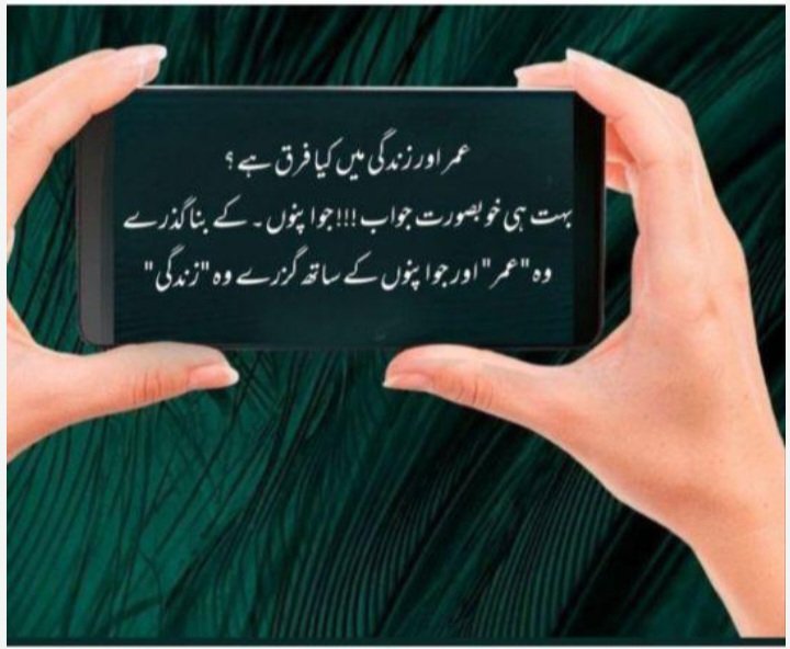 Liaba Ch 💎 tweet media