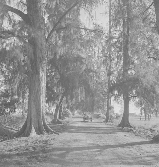 Yorùbáness tweet media