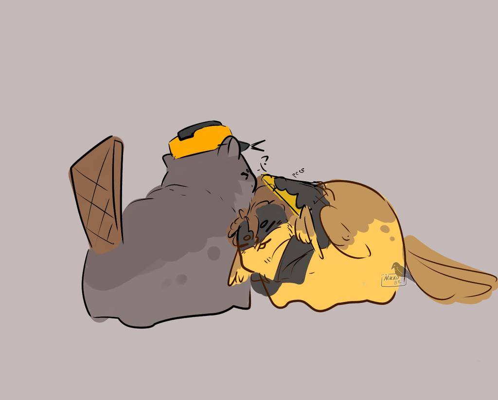 Nikkō_kage 🍉 tweet media