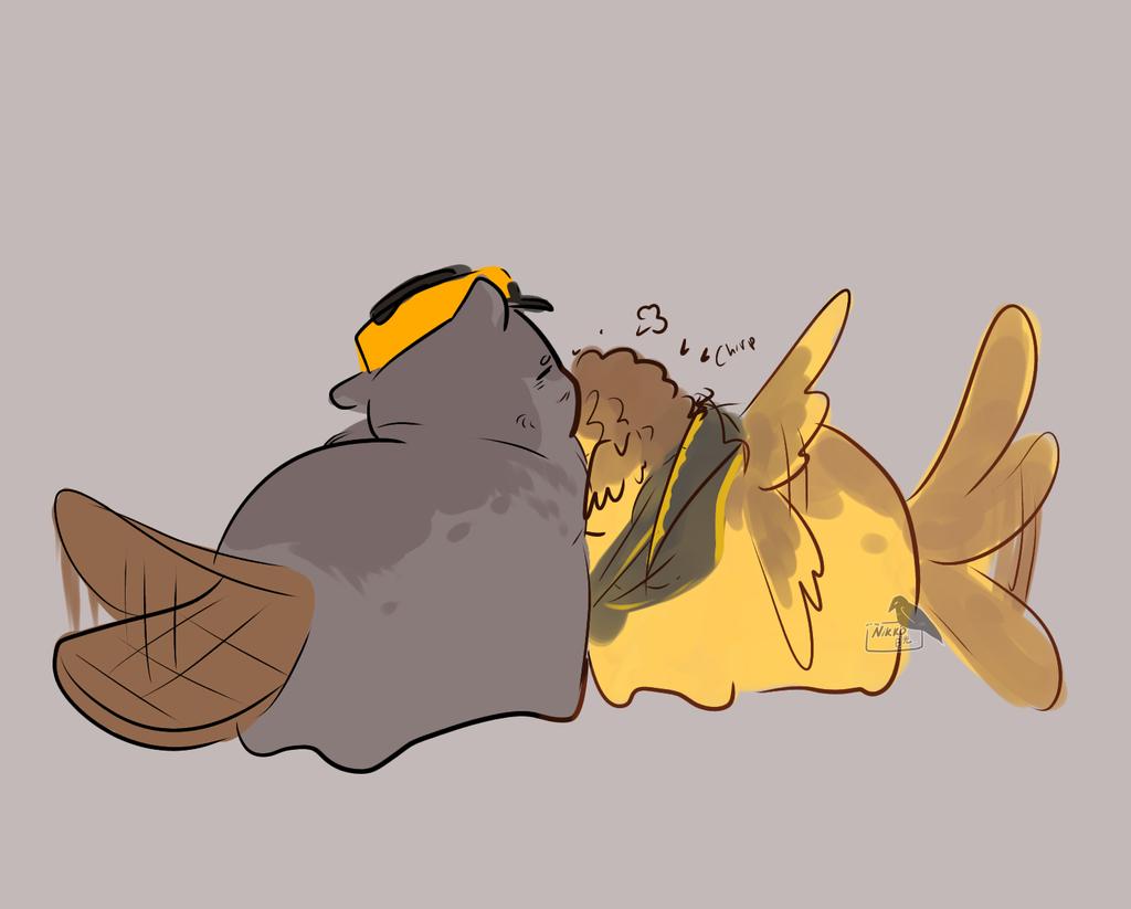 Nikkō_kage 🍉 tweet media