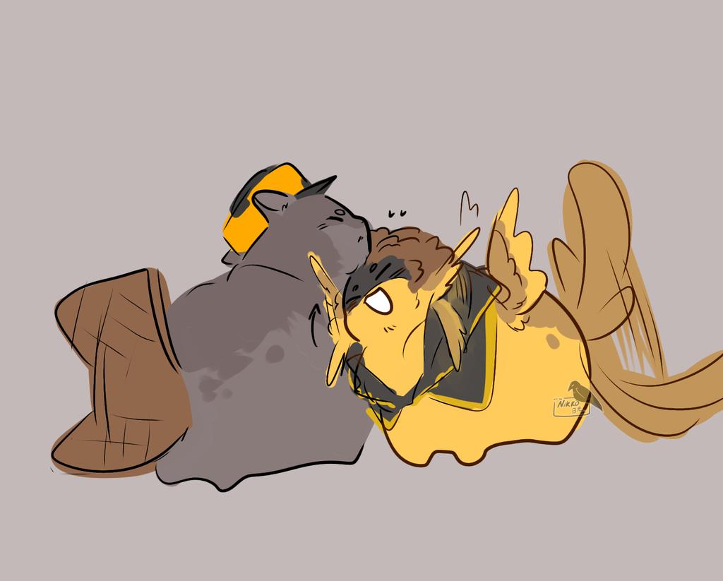 Nikkō_kage 🍉 tweet media