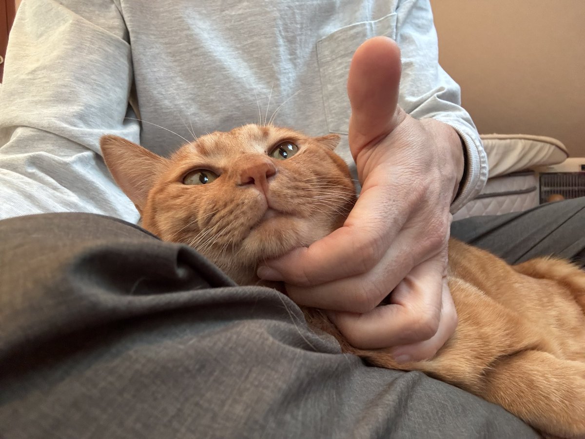 長谷川拡介 tweet media