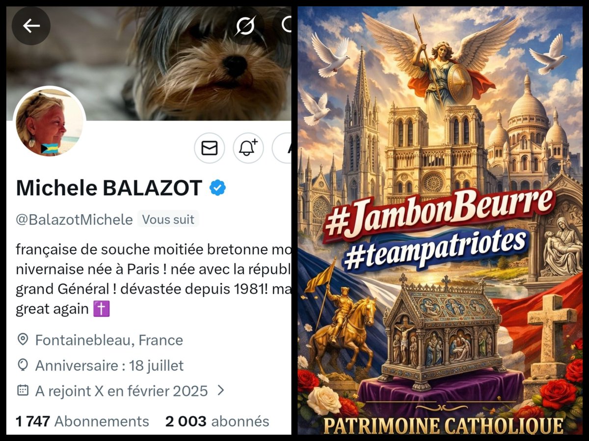 🇨🇵 Dédé 🇫🇷♿ tweet media