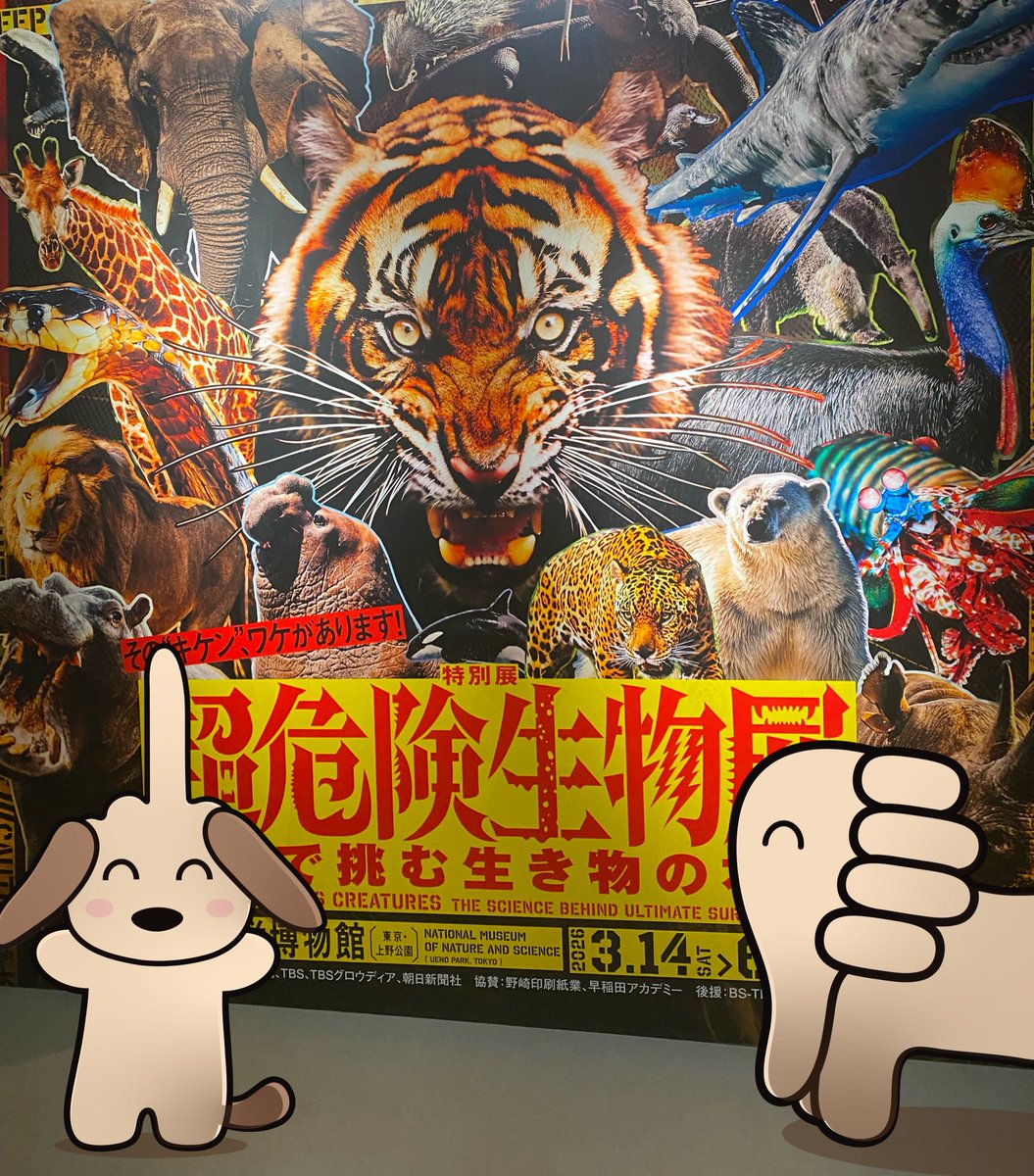 ファックスフンド tweet media