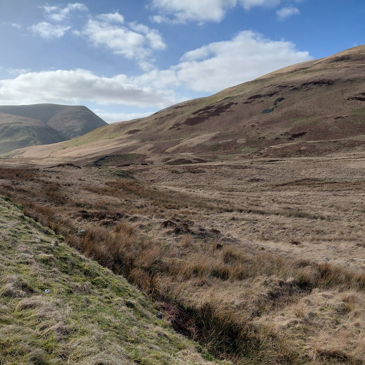 Stuart Paterson tweet media