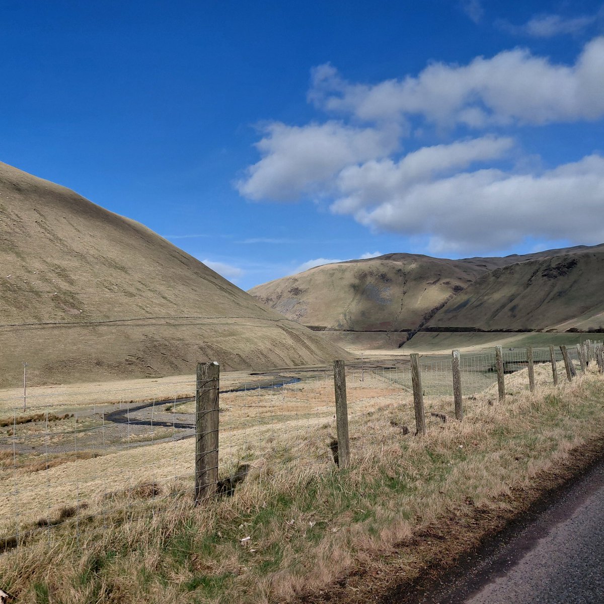 Stuart Paterson tweet media