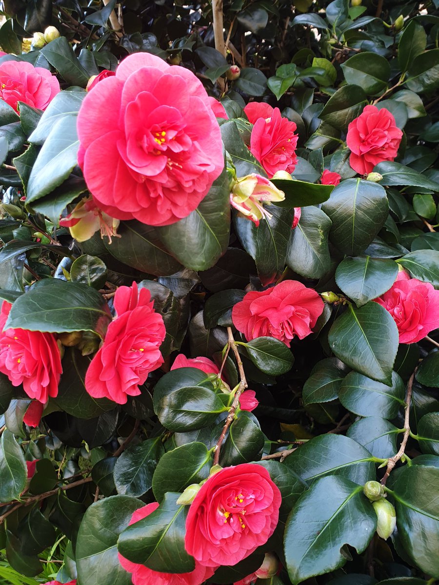 Michele 💚 tweet media