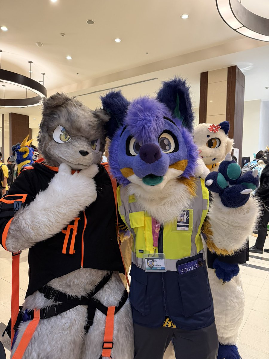 Flowdy 🐶🦺 tweet media