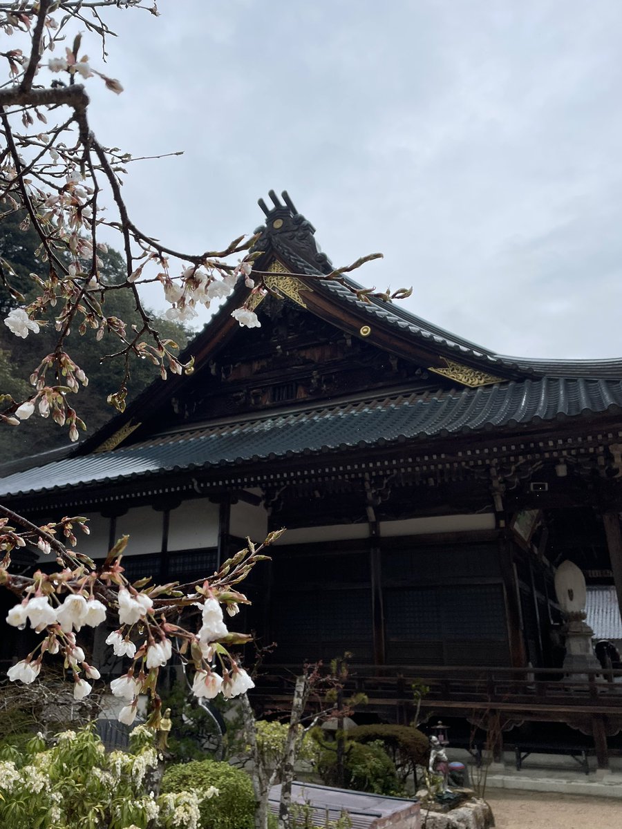 ハットグ tweet media